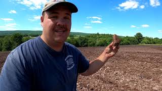 WE STARTED ADDING SOMETHING NEW TO THE SOIL. WHY?
