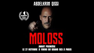 Moloss Grand Rex Spot 4k