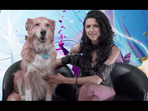 Como vivir una vida plena y sencilla con Love patitas y Polo. espiritualmente