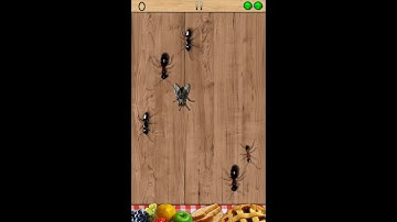 How to make an ant smasher game in visual basic