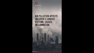 #Shorts | Air Pollution Affects Children’s Cardiac Systems, Causes Inflammation: Study