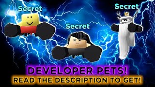 [Secret Pet Release] Training Simulator Exclusives Showcase | Pet Slot Gamepass Adjustment screenshot 1