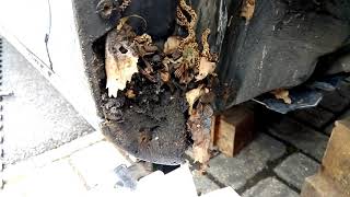 20190506 Octavia front wheel arch crap mud dirt (2/2)
