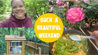 Weekend Reading Vlog || walks, little free libraries, a new recipe, and lots of reading
