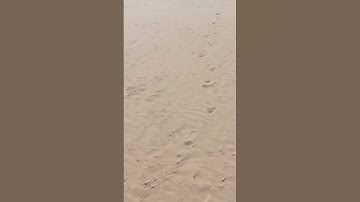 Thumbnail of "SAHARA WIND" - 🏜️🌬️ #shorts