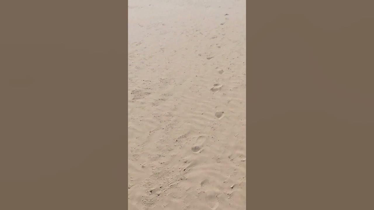 "SAHARA WIND" - 🏜️🌬️ #shorts