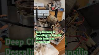 Deep Cleaning &amp; Descaling the Rancilio Silvia Boiler and Components