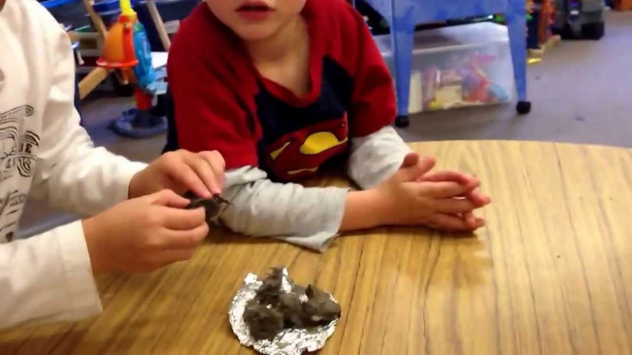 Science Mice Pellets YouTube