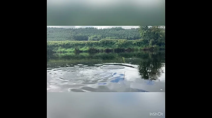 Playing and releasing a salmon on the river Suir, ...