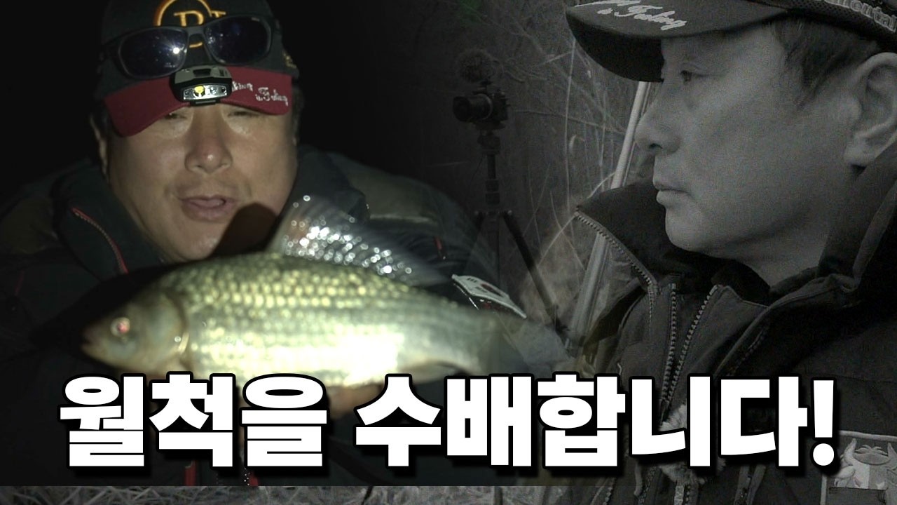 월척붕어를 수배합니다 [월척수배25시theLive EP.72]
