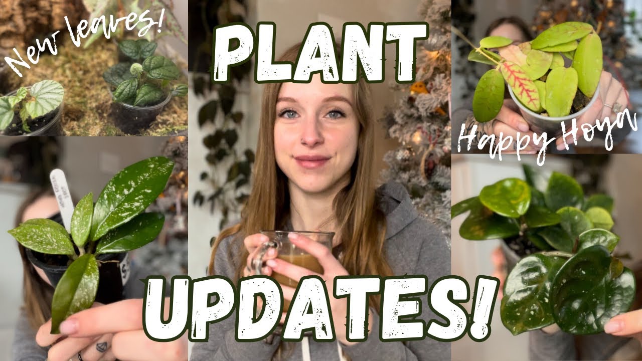 Plant Updates | Lots of New Growth - YouTube