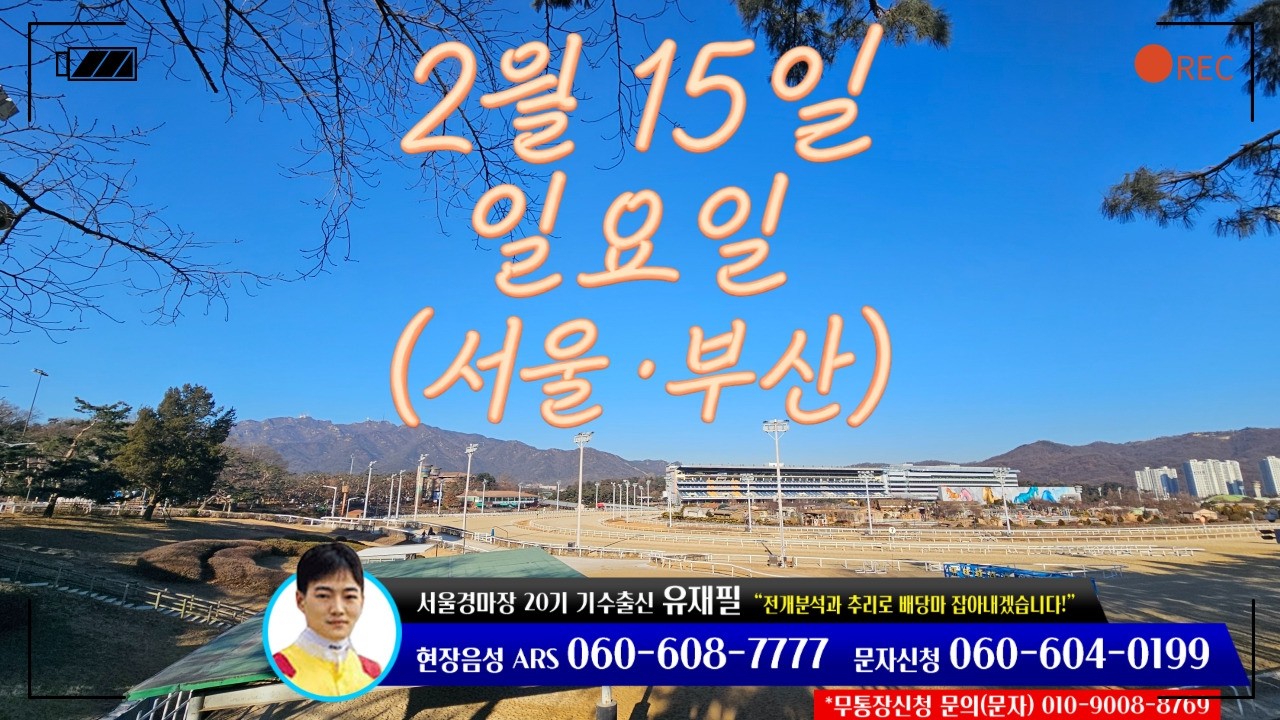 [ 2026년 2월 15일 일요(서울.부산)경마~!]