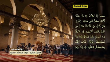 عارف العشي  سورة السجدة
