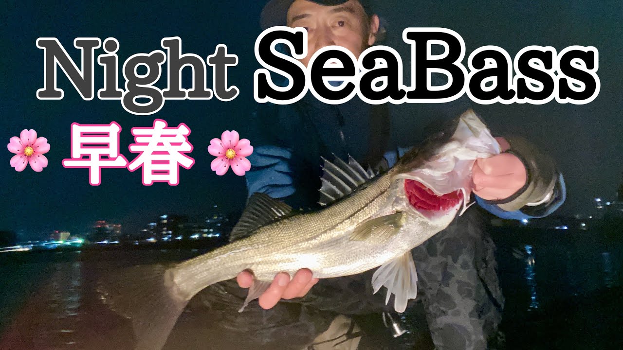 BIGルアーで早春のシーバスを釣ってみる