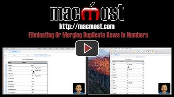 Eliminating Or Merging Duplicate Rows In Numbers (#1437)