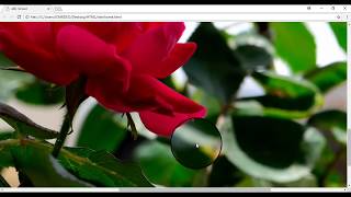 HTML STD-10th Image Tag  Introduction | In Gujarati | Amrutgiri Goswami screenshot 4