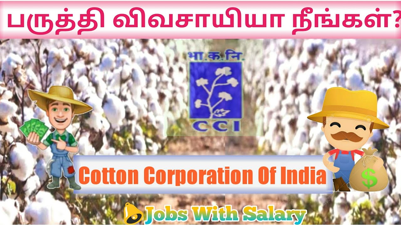 Cotton Corporation Of India | CCI | பருத்தி கொள்முதல் | agrijobs 2020 | CCI Recruitment