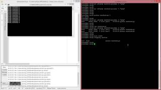 python forking tcp server