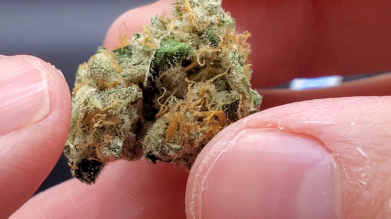 Rootbase Unboxing- Strain Pheno Hunt- Peach Crescendo