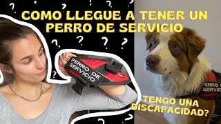 TENGO UN PERRO DE SERVICIO PSIQUIATRICO: PROCESO, ENTRENAMIENTO, Y MI EXPERIENCIA