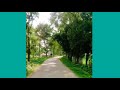 Beautiful village in bangladesh real scene of village road  traditional village bd