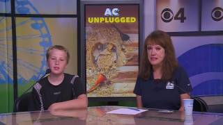 State Fair Experience Day 4 Session 21