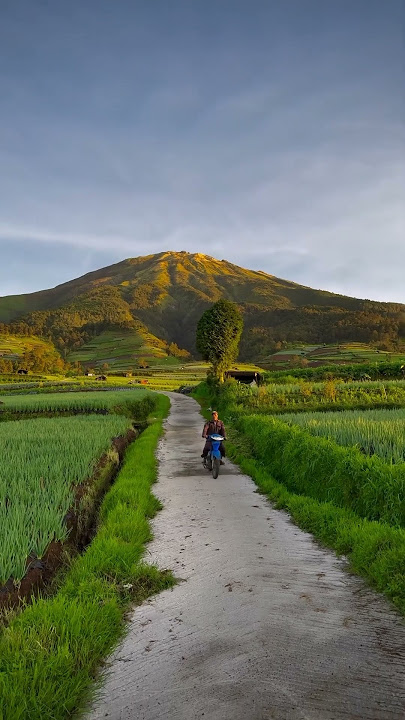 Morning vibes in Sukomakmur, #Magelang, #CentralJava. by IG @denyyudanto99 #wonderfulindonesia