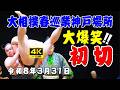 【神戸巡業 No.5】会場大爆笑！ 朝東と朝天舞による初切 大相撲春巡業神戸場所 2026/3/31 GLION ARENA #大相撲 #神戸巡業 #sumo