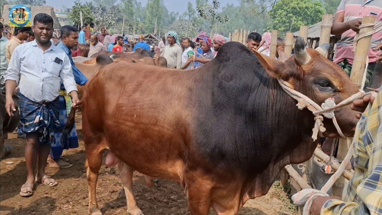 @ আজ শুক্রবার ৬ মার্চ