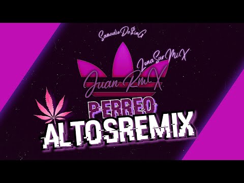 PERREO AltoSRemiX ®