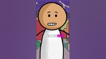 Why Don’t Programmers Like Nature? #funnyjokes #animation #animatedshort