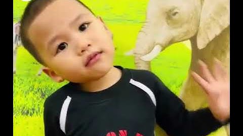 Bé học tiếng Anh - Mầm non song ngữ Bình Minh - Hàm Nghi, Cầu Diễn, Mỹ Đình