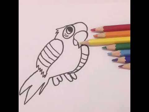 ماهي ألوان الطيف السبعه