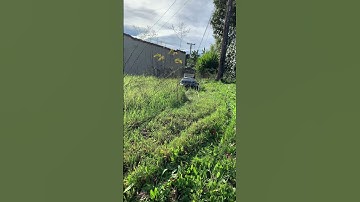 Mowrator S1 Lawnmower Cutting Test in Los Angeles