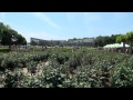 小さな旅・都立神代植物公園