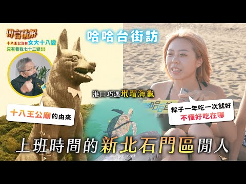 《哈哈台地區的街訪》EP52 - 上班時間的「石門區」閒人。十八王公廟／粽的由來，石花凍吃到飽？海上第六度空間，巧遇玳瑁海龜！🎤｜哈哈台