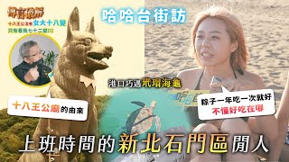 《哈哈台地區的街訪》EP52  上班時間的「石門區」閒人。十八王公廟粽的由來石花凍吃到飽海上第六度空間巧遇玳瑁海龜哈哈台