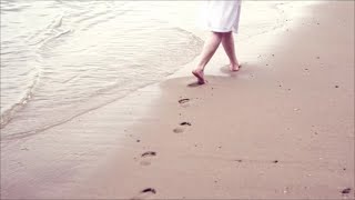 The Function of the Wholeness Navigator (Multi subtitles) - WingMakers
