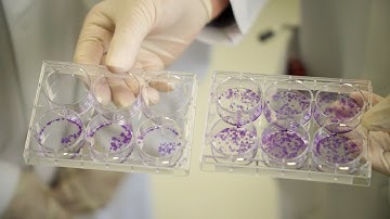 Fighting cancer with precision oncology