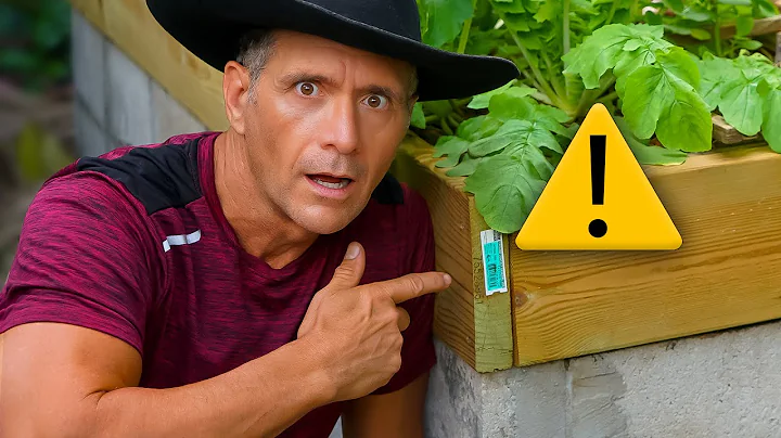 The TRUTH About Pressure Treated Wood In Vegetable Gardens