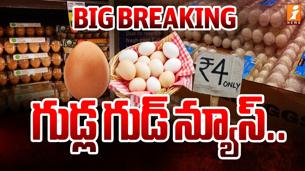 గుడ్ల గుడ్ న్యూస్.. | War Impact on Poultry.. Egg Prices Down in Telugu States