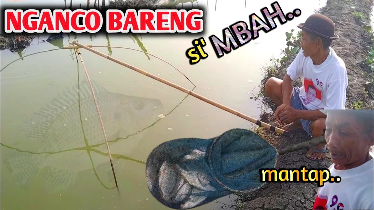 VIRAL.. !! NGANCO IKAN BARENG SI MBAH DI SUNGAI DAPAT IKAN BESAR-BESAR