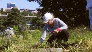 Community comes to rescue of old cemetery