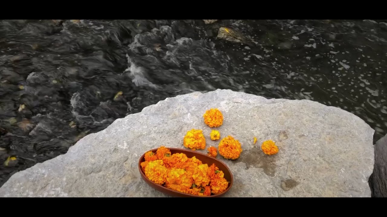OFRENDA Ritual de vida / Living Ofrenda