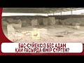 Бас-сүйексіз бес адам қай ғасырда өмір сүрген?