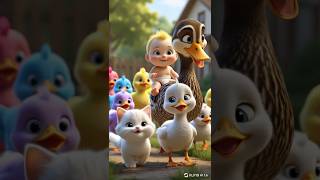 BERSAMA INDUK BEBEK JALAN-JALAN #kucing #kucinglucu #bebek #ayamlucu #ayampelangi #anakkucing