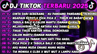 DJ TIKTOK TERBARU 2025🎵DJ CINTA DARI SEBERANG - KU PANDANG ADEK DARI SEBERANG🎵DJ NGAPAIN REPOT VIRAL