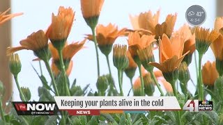 Gardening when the weather doesn't always play nice