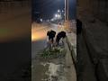 wait for end 🫡We Filled This Dangerous Road Ghadde#shortvideo #roadrepair #viral #humanity