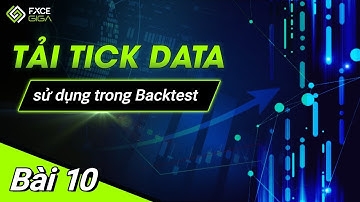 Bài 10: Hướng dẫn tải Tick Data sử dụng trong Backtest